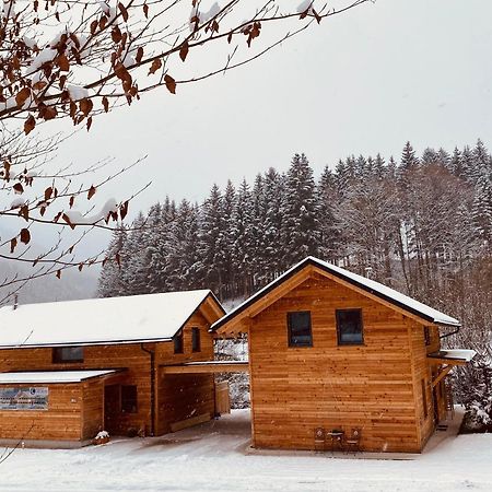 Chalets Lunz Am See Luaran gambar
